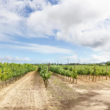 Casa Syrah 公寓 帕尔梅拉