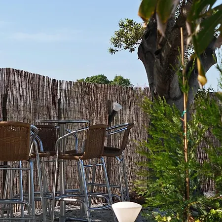 Daire Casa Syrah Palmela