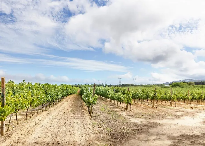 Casa Syrah דירה פלמלה